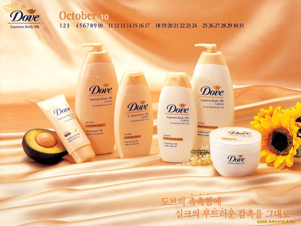 , dove